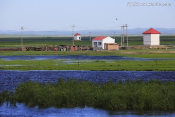 湿地上的民居