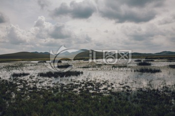 沼泽地