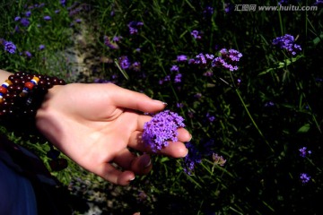 花