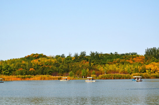 湖泊风景