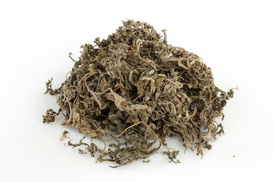 益母草