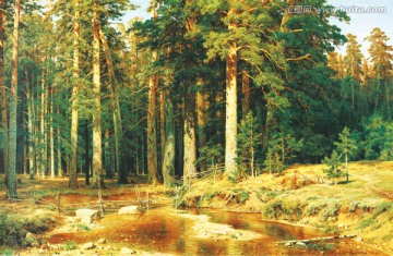 风景油画 松树森林