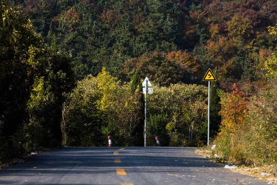 秋天的公路