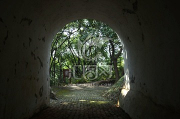 树林里的隧道