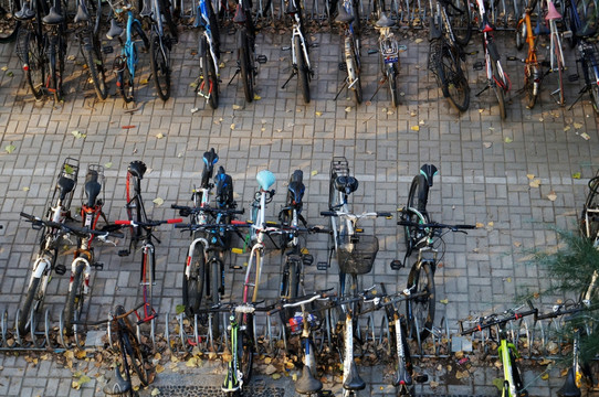 郑州大学校园里的大量自行车
