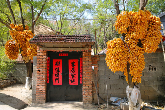 农家小院