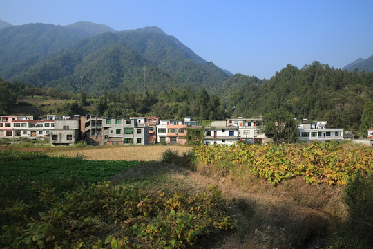 美丽乡村