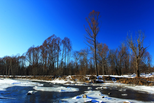 河流雪景红柳