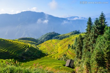 山谷梯田