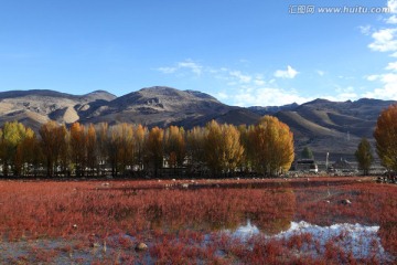 稻城红草地