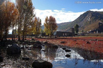 稻城红草地