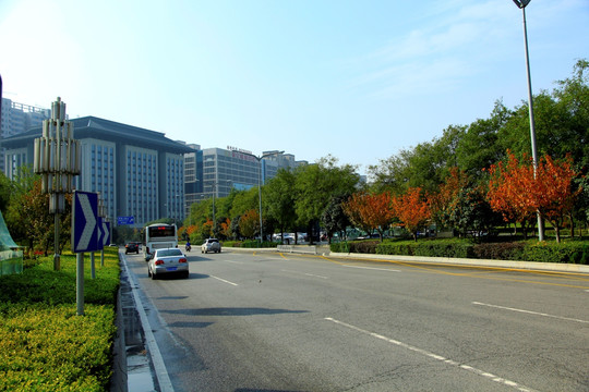 城市道路