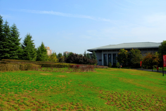 城市绿化