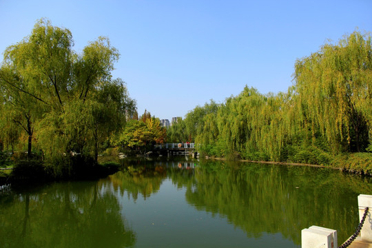 园林湖水