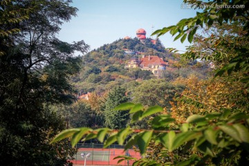 青岛 信号山