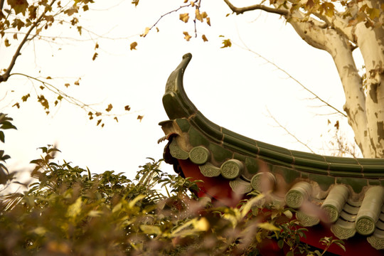 建筑一角