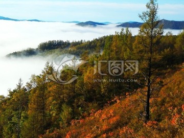 秋季山林晨雾