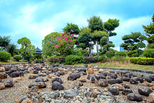 南宁南湖公园小景