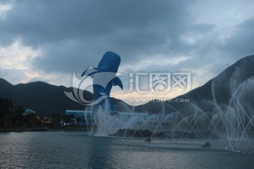 海豚