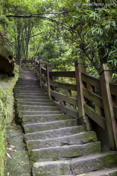 森林登山步道