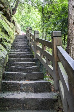 森林登山步道