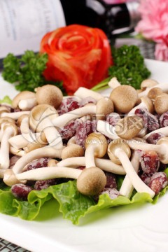 鹅肝酱菌菇