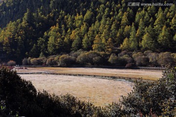 稻城秋景