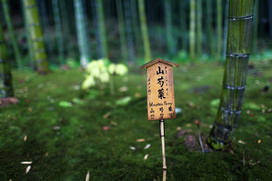 日本京都岚山天龙寺木牌特写