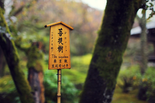 日本京都寺院木牌小景