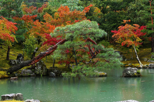 日本京都岚山天龙寺湖水秋色