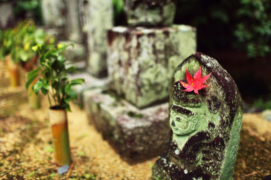 寺院内的佛像枫叶