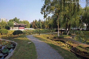 莫愁湖风景