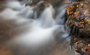 水