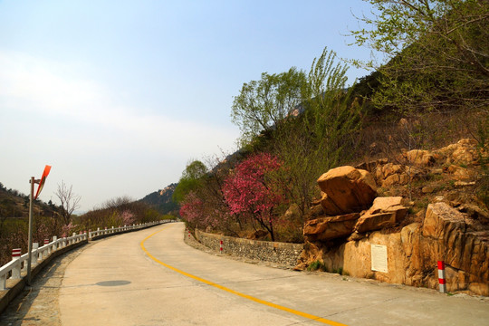 泰山桃花峪风光