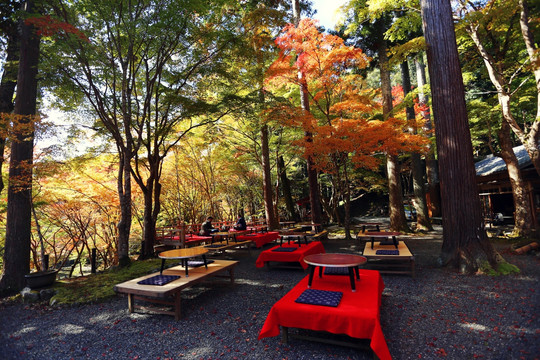 日本京都高雄山露天餐吧秋色