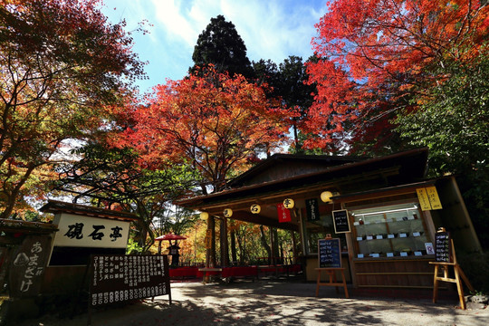 日本京都高雄山红叶景观