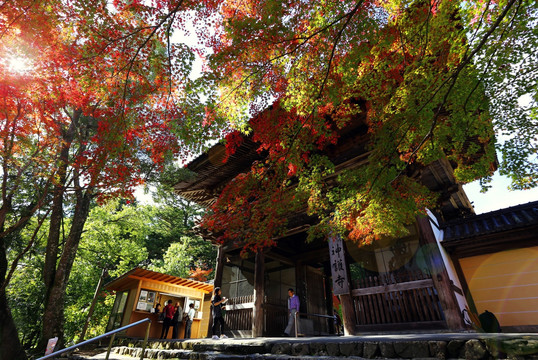 日本京都神护寺寺门秋天