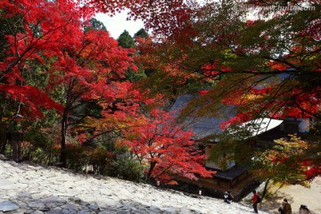 日本京都神护寺枫叶大殿