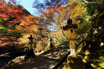 日本京都西明寺寺道石灯红枫