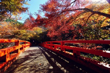 日本京都西明寺栈桥