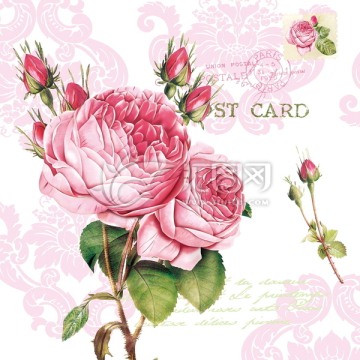 红玫瑰花与明信片