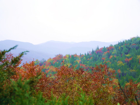 秋天的山