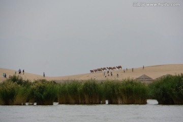 沙湖