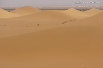 沙漠