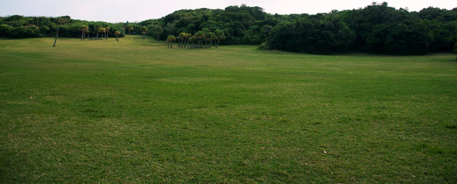 海岛草地