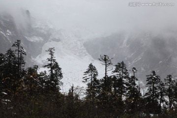 海螺沟冰川森林