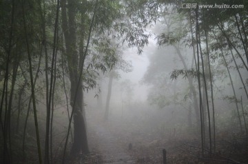 山林浓雾