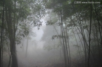 山林浓雾