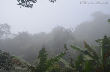 山间浓雾