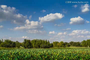 原生态森林公园景色